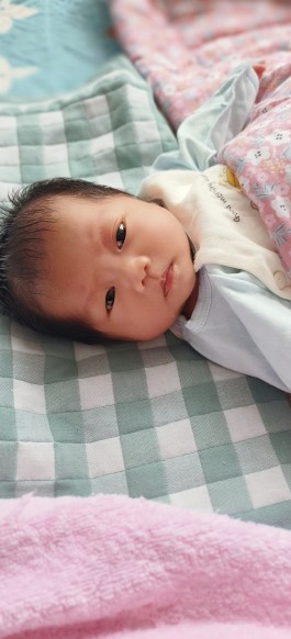 失踪人员：张鑫晨